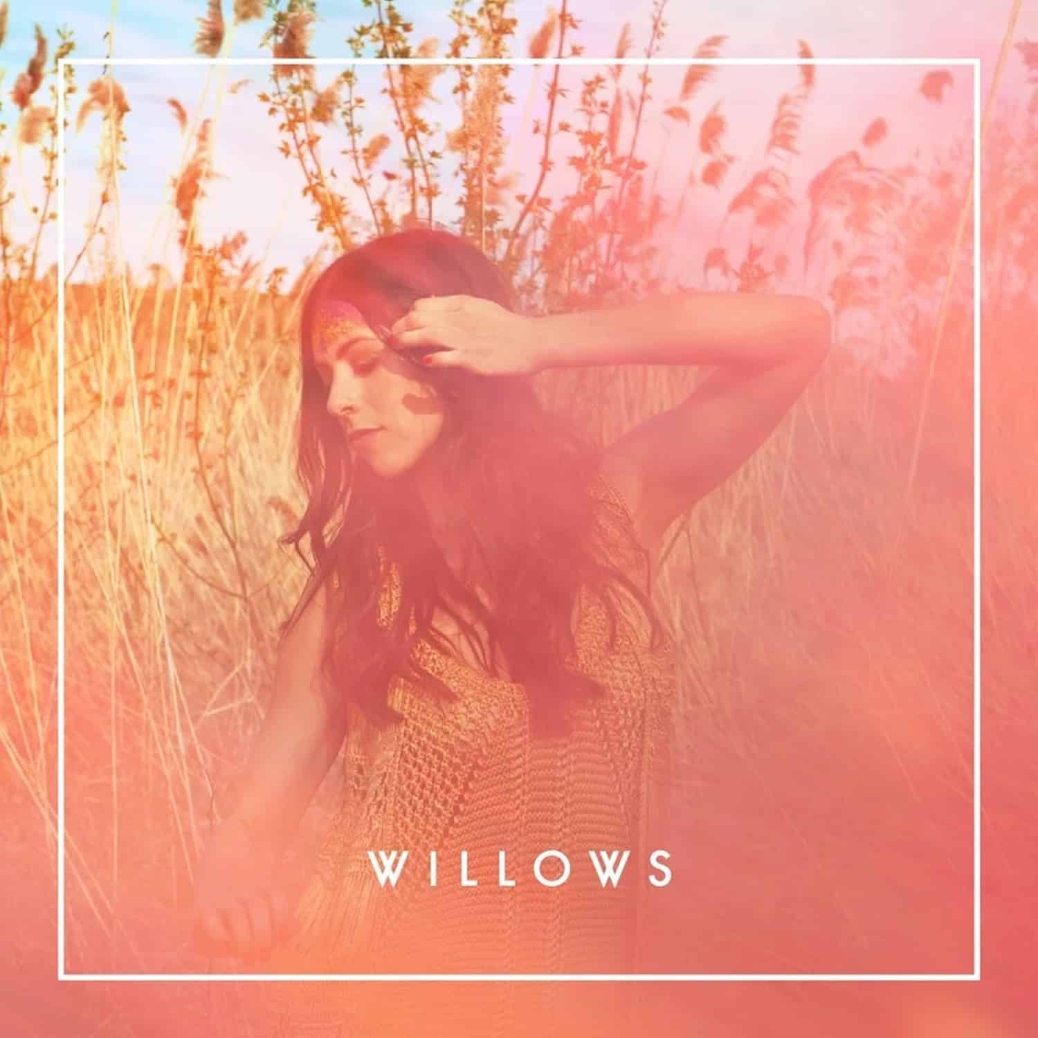 Willows – Willlows